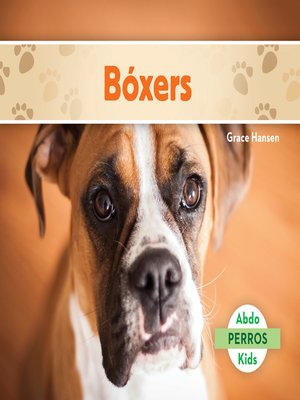 cover image of Bóxers (Boxers) (Spanish Version)
